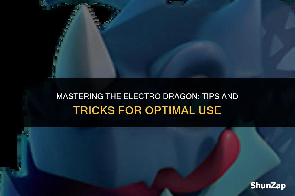 how to best use electro dragon