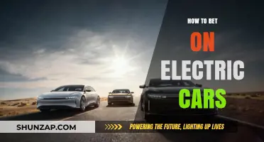 Investing in the Future: Smart Strategies for Betting on Electric Cars