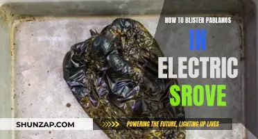 Blistering Poblanos: Electric Stove Edition