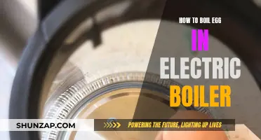 The Perfect Boiled Egg: Using an Electric Boiler