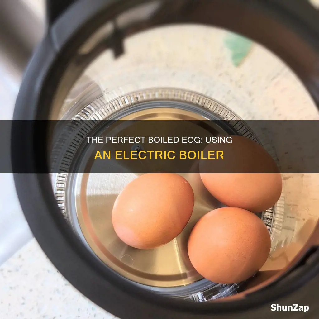 how to boil egg in electric boiler