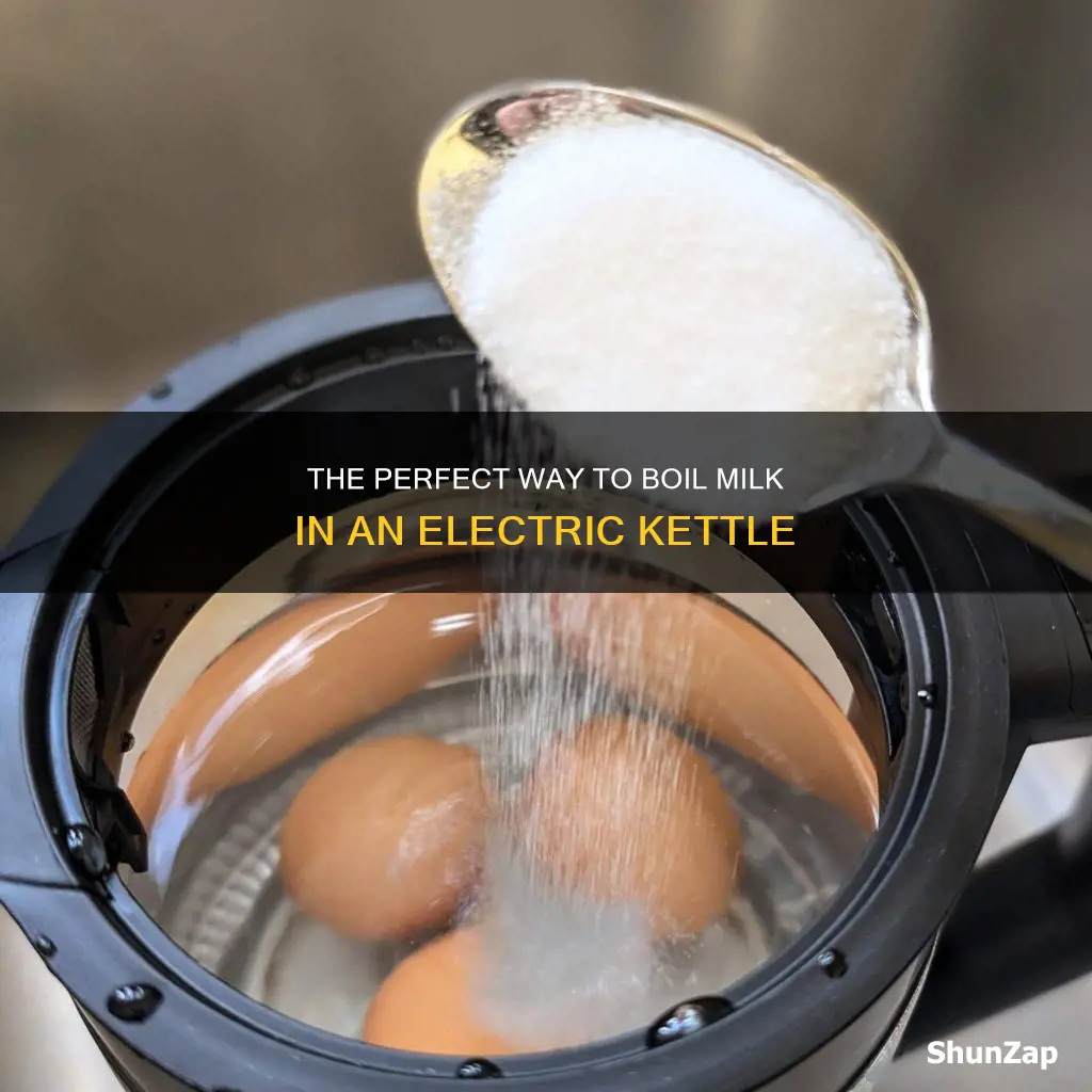 how to boil milk in electric kettle