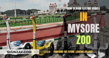 Explore Mysore Zoo's Electric Adventure: A Guide to Booking Your Ride