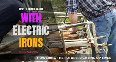 Effective Electric Iron Cattle Branding Techniques