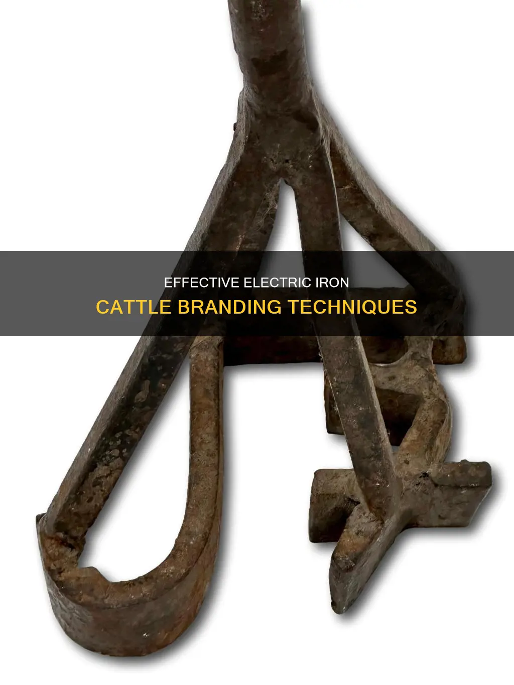 how to brand cattle with electric irons