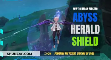 Breaking Electro Abyss: Herald Shield Strategies
