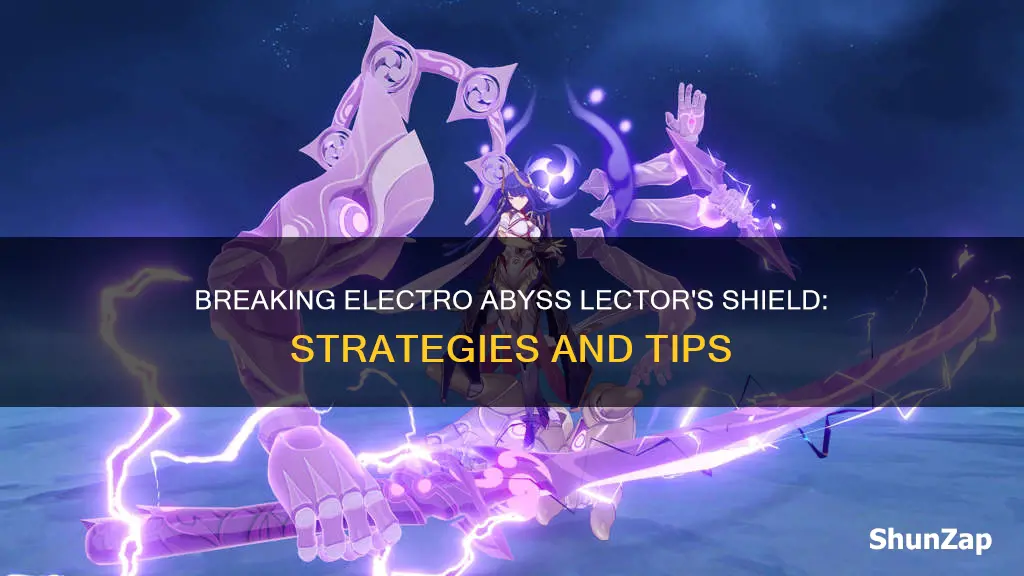 how to break electro abyss lector shield