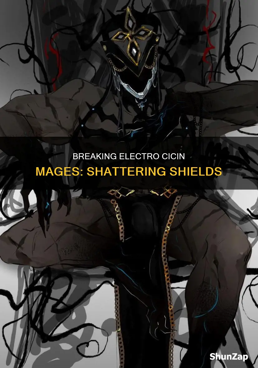 how to break electro cicin mage shield