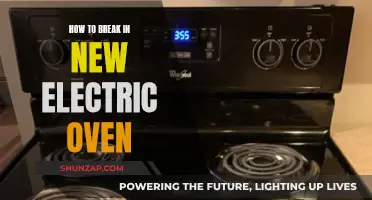 Breaking in Your New Electric Oven: Tips and Tricks