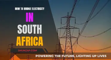Bridging South Africa's Electricity Gap