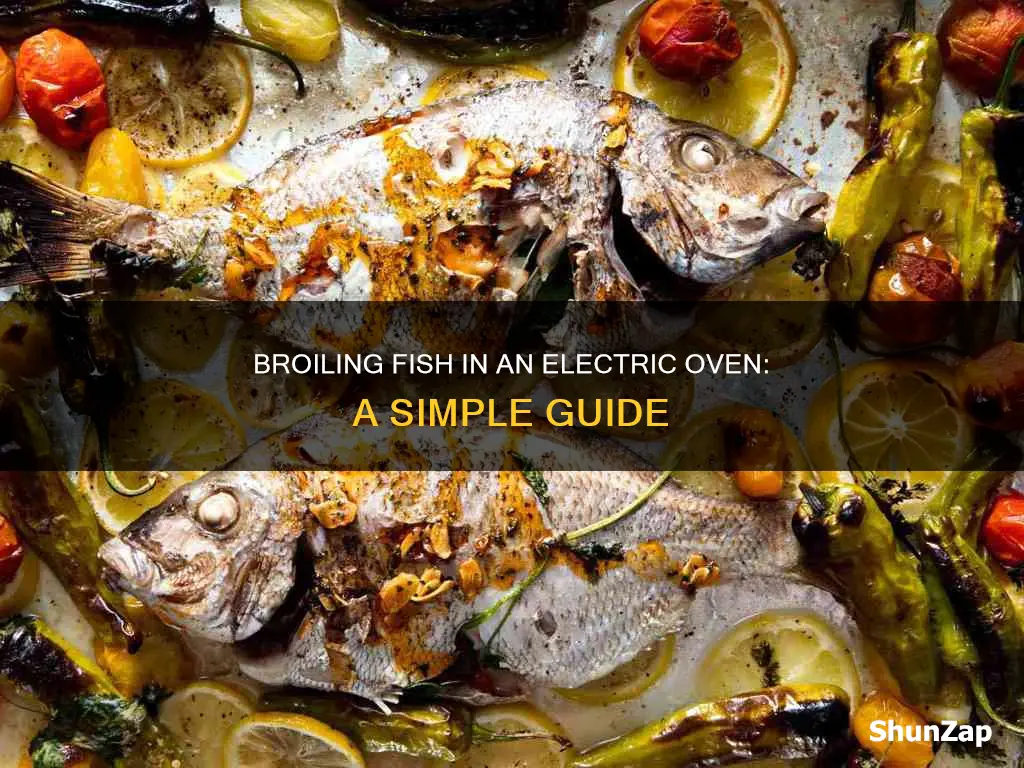 how to broil fish in electric oven