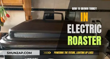Brown Turkey to Perfection with an Electric Roaster