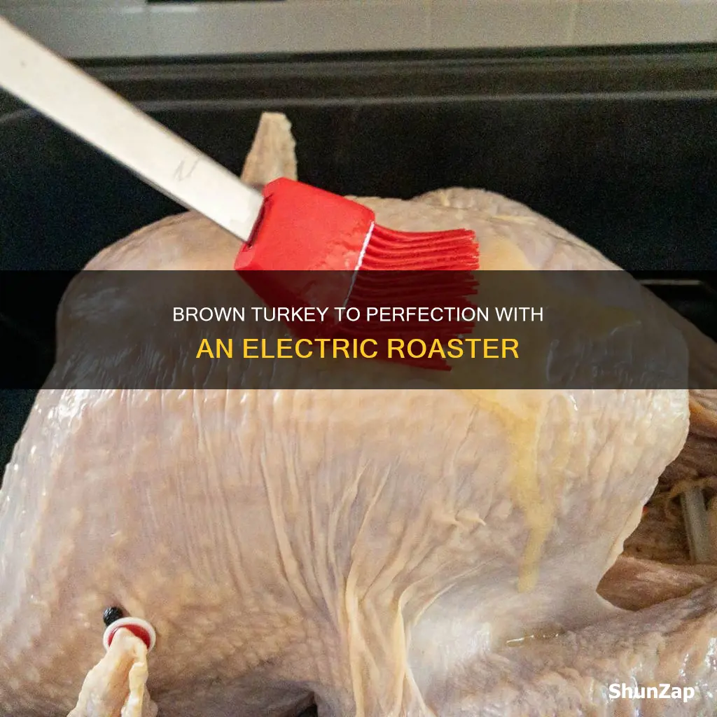 how to brown turkey in electric roaster