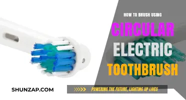 Mastering Dental Hygiene: A Guide to Circular Electric Toothbrush Use