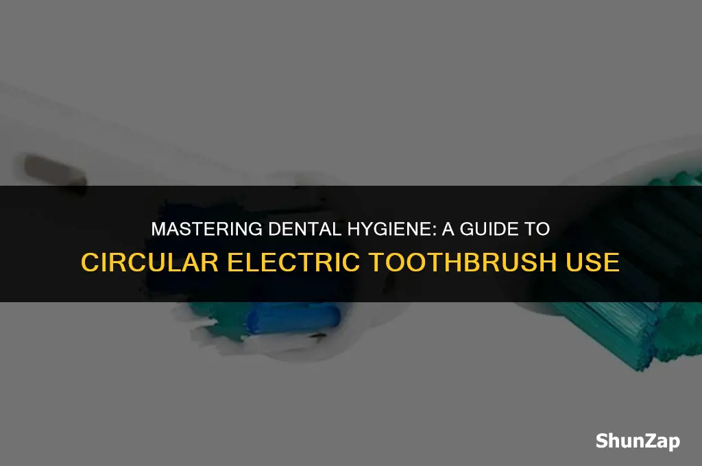 how to brush using circular electric toothbrush