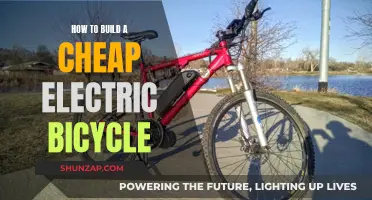 Building an Affordable Electric Bicycle: A Step-by-Step Guide