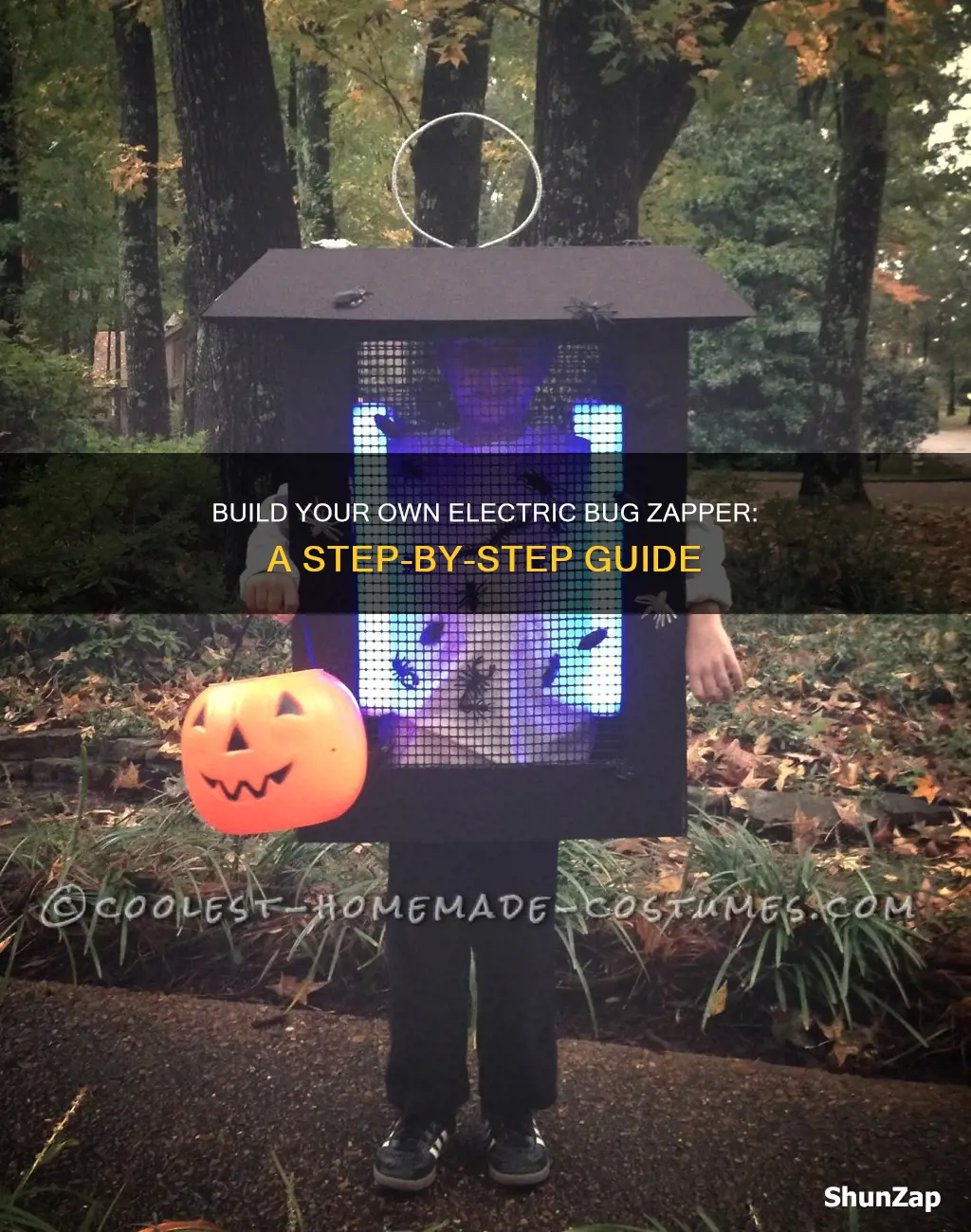 how to build a electric bug zapper