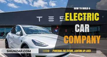 Building an Electric Car Company: Strategies for Success in the EV Industry