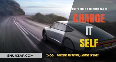 Self-Charging Electric Car: DIY Guide to Sustainable Automotive Innovation