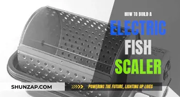 Building an Electric Fish Scaler: DIY Guide