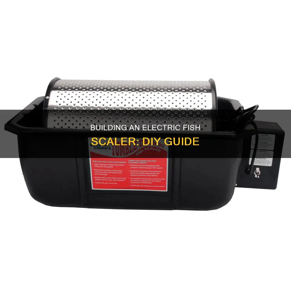 how to build a electric fish scaler