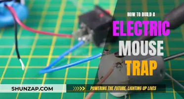 The Ultimate Guide: Building an Electric Mouse Trap