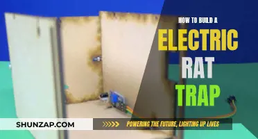 Building Your Own Electric Rat Trap: A DIY Guide