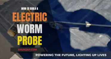 The Electric Worm Probe: DIY Guide