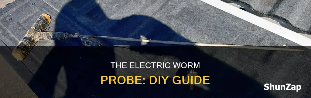 how to build a electric worm probe