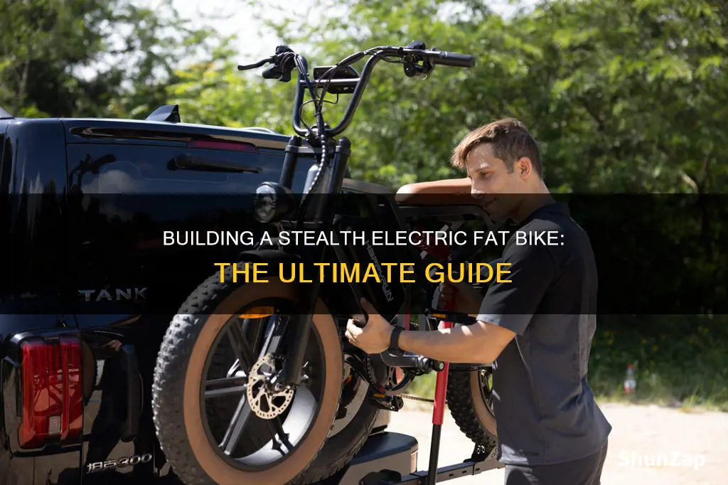 how to build a stealth electric fat bike