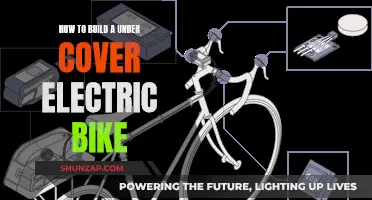 Concealed Electric Bike: DIY Guide to Building Yours