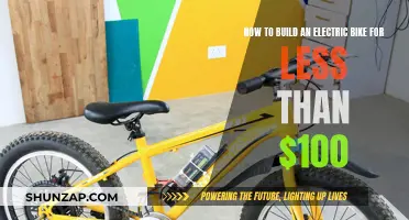 Building an Electric Bike on a Budget