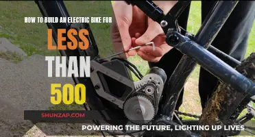 Building an Electric Bike on a Budget