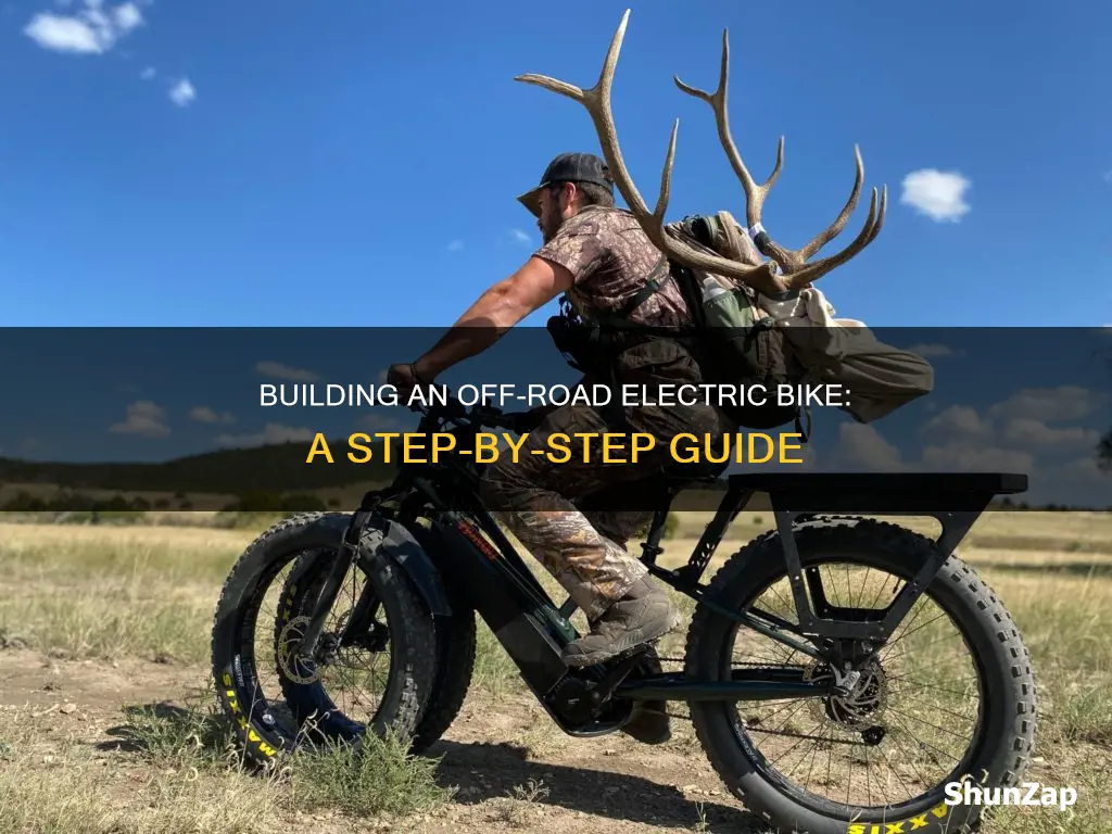 how to build an electric bike for offroad kit