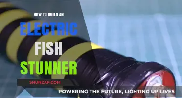 Build Your Own Electric Fish Stunner: DIY Guide