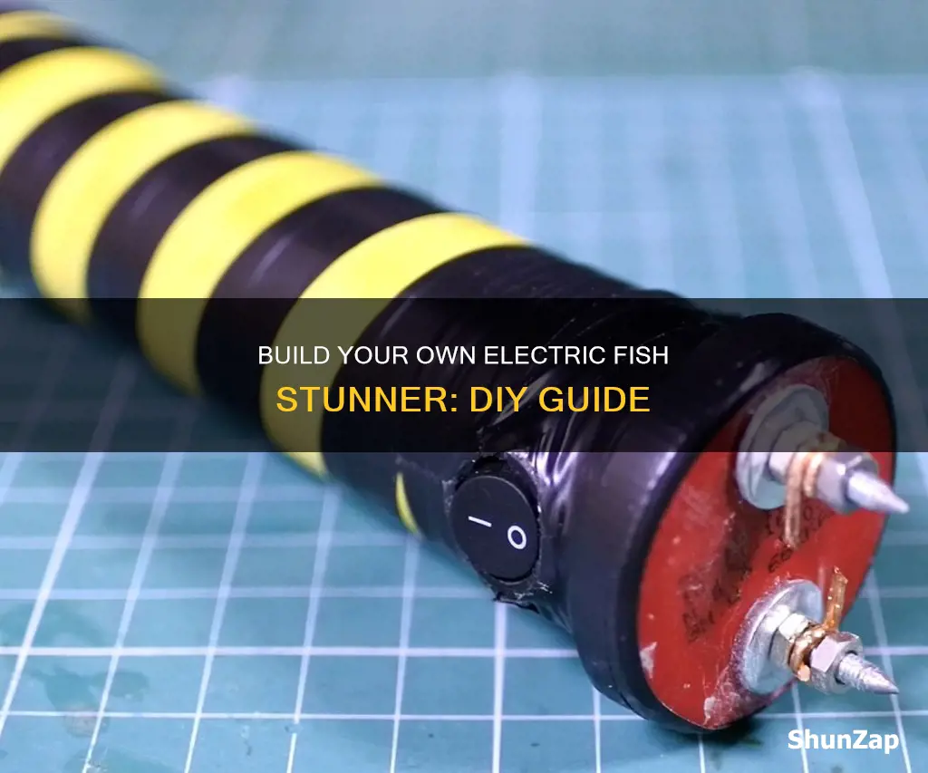 how to build an electric fish stunner
