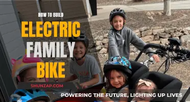 Building an Electric Family Bike: A Step-by-Step Guide