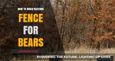 Building an Electric Fence: Keeping Bears Away