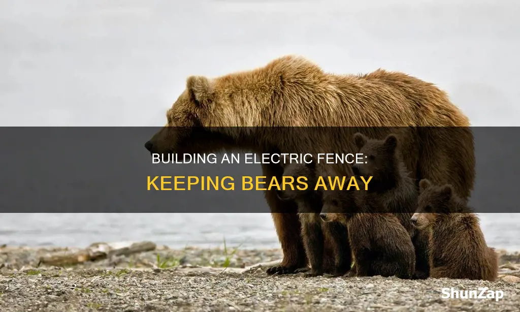 how to build electric fence for bears
