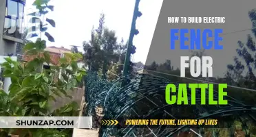 Building an Electric Fence: Keeping Cattle Safe and Secure