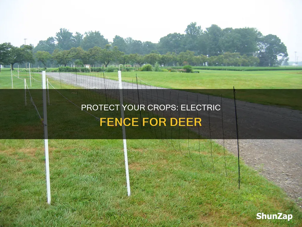 how to build electric fence for deer
