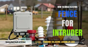Electric Fence: Deterring Intruders with a Shock