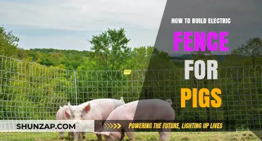 Electric Fencing for Pigs: A Step-by-Step Guide