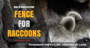Electric Fencing: Keep Raccoons Out with a Zap