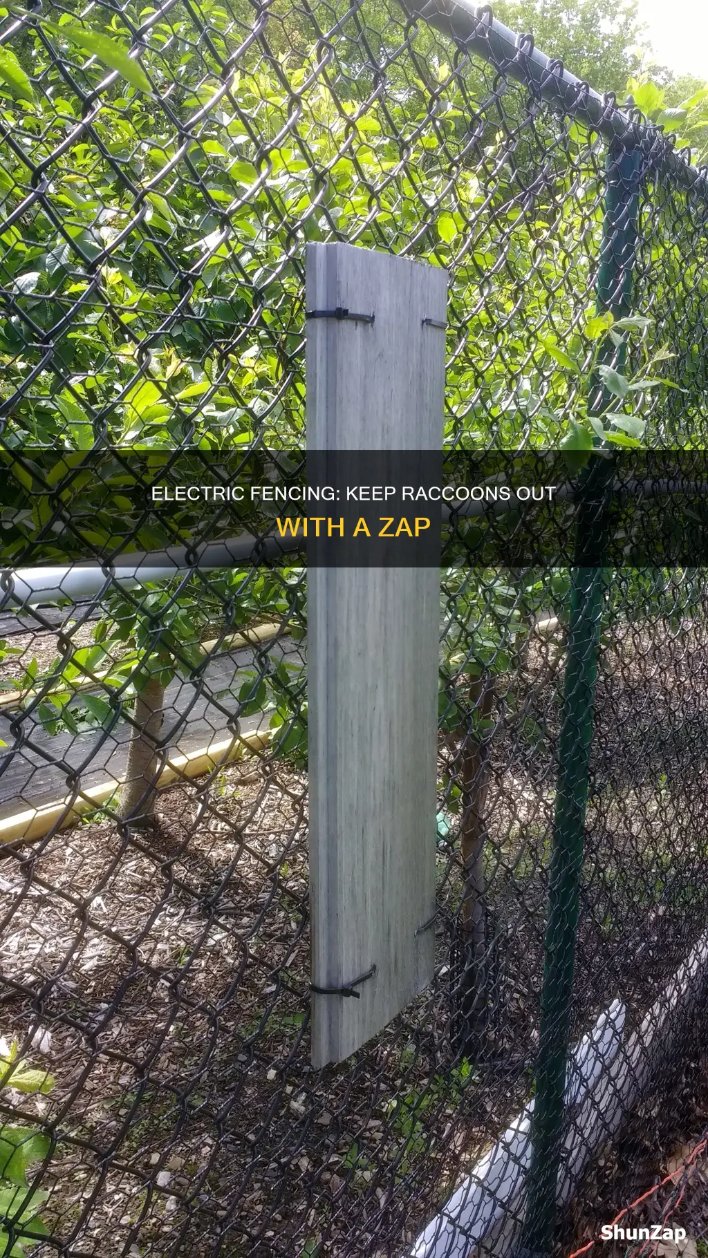 how to build electric fence for raccoons