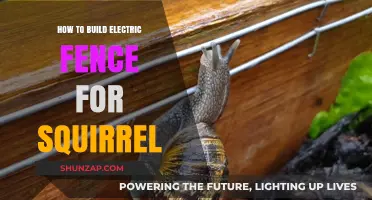Electric Fencing: Keep Squirrels Out, the Right Way