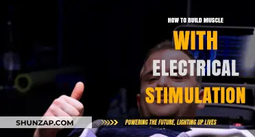 Electrical Stimulation: Building Muscle Without Lifting Weights