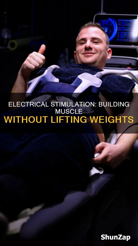 how to build muscle with electrical stimulation