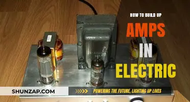 Building Electric Amps: A Step-by-Step Guide to Success