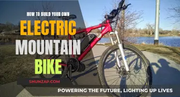 Building Your Dream Electric Mountain Bike